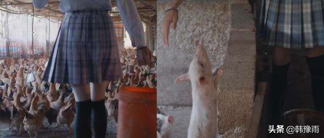 丝袜视频_肉丝视频