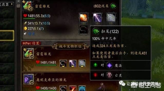 宠物对战攻略_宠物对战攻略大全