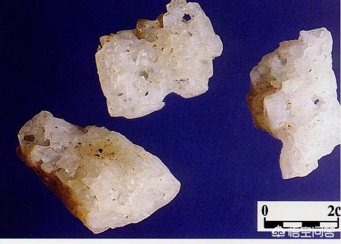 哪种植物是古代的刷牙利器_哪种植物是古代的刷牙利器?