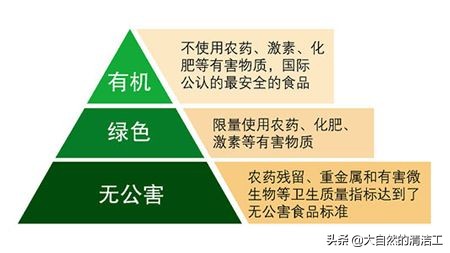 无公害蔬菜和绿色蔬菜哪个等级更高_无公害蔬菜和绿色蔬菜哪个等级更高些