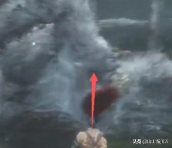 只狼结局_只狼结局触发条件