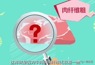 牛肉怎么切片口感会更好?_牛肉怎么切片口感会更好