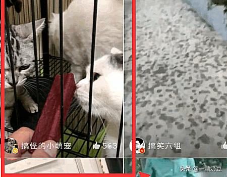 新浪视频怎么下载_新浪视频怎么下载到手机