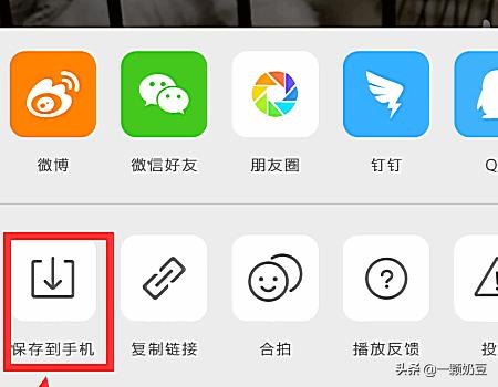 新浪视频怎么下载_新浪视频怎么下载到手机