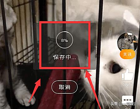新浪视频怎么下载_新浪视频怎么下载到手机