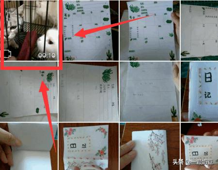 新浪视频怎么下载_新浪视频怎么下载到手机