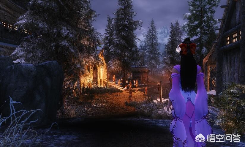 上古卷轴5随从mod_上古卷轴5随从mod找不到人解决方法