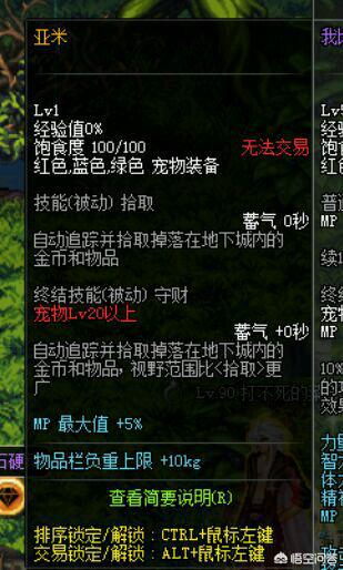dnf宠物贝雷斯_dnf宠物贝雷斯图片