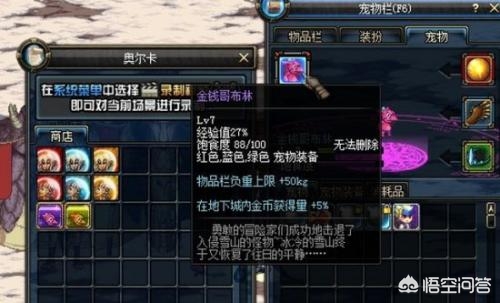 dnf宠物贝雷斯_dnf宠物贝雷斯图片