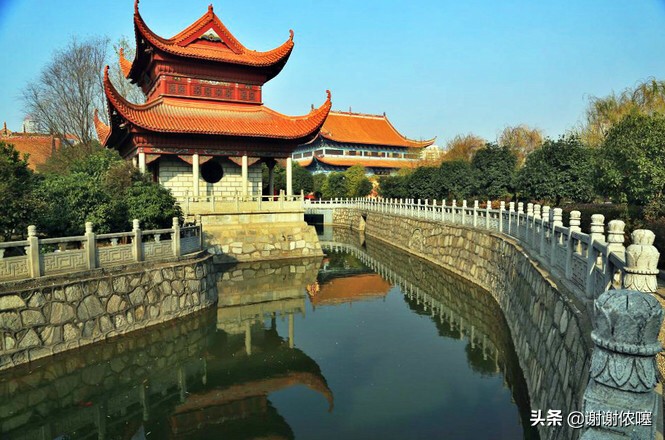 天国的森林_天国的森林在线观看