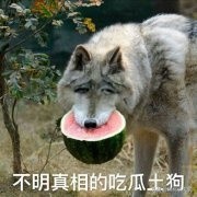 421明星八卦免费阅读_421明星八卦全文免费阅读