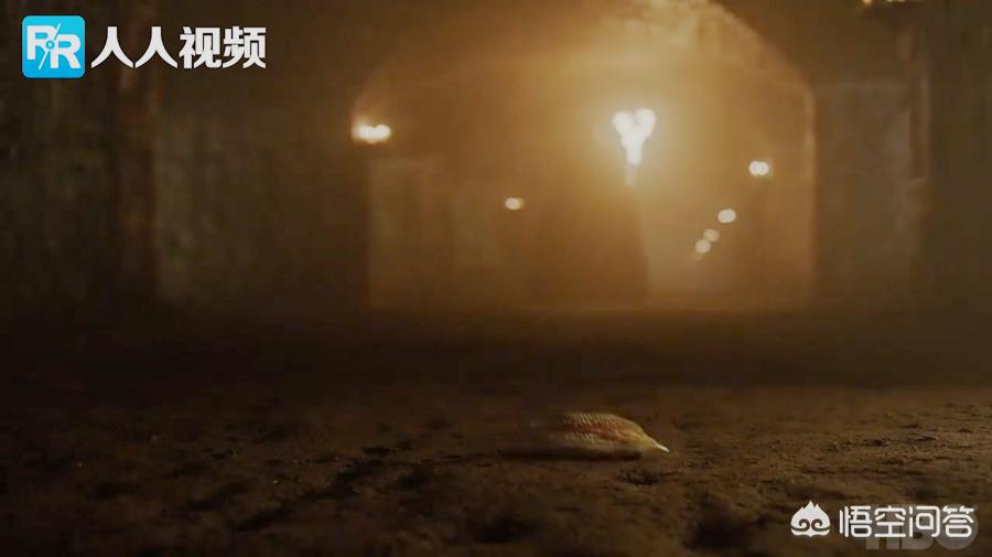 美剧鸟破解版_美剧鸟破解版v5.9.7