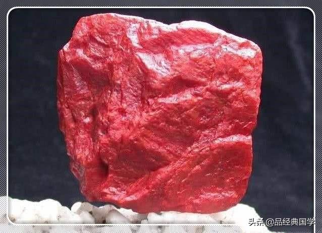 丹顶鹤的丹顶指是什么蚂蚁庄园_丹顶鹤中的丹顶指的是哪里