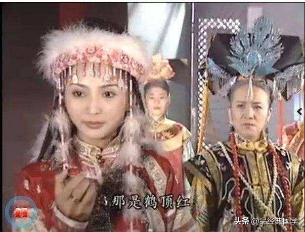 丹顶鹤的丹顶指是什么蚂蚁庄园_丹顶鹤中的丹顶指的是哪里