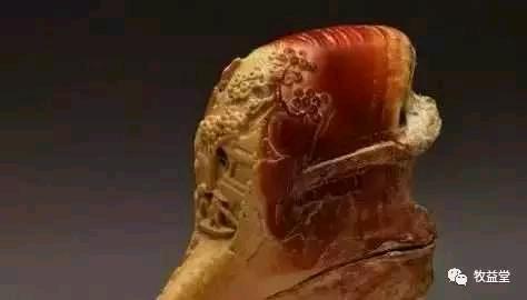 丹顶鹤的丹顶指是什么蚂蚁庄园_丹顶鹤中的丹顶指的是哪里