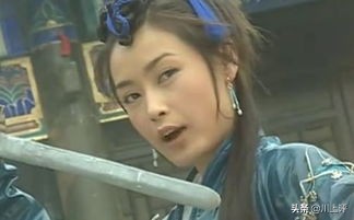 真 倚天屠龙记_真倚天屠龙记完美攻略
