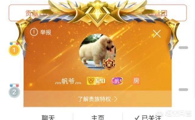 斗鱼旭旭宝宝_斗鱼旭旭宝宝直播间