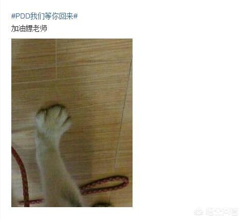 我是英雄联盟里最骚的骚猪_我是英雄联盟里最骚的骚猪是谁