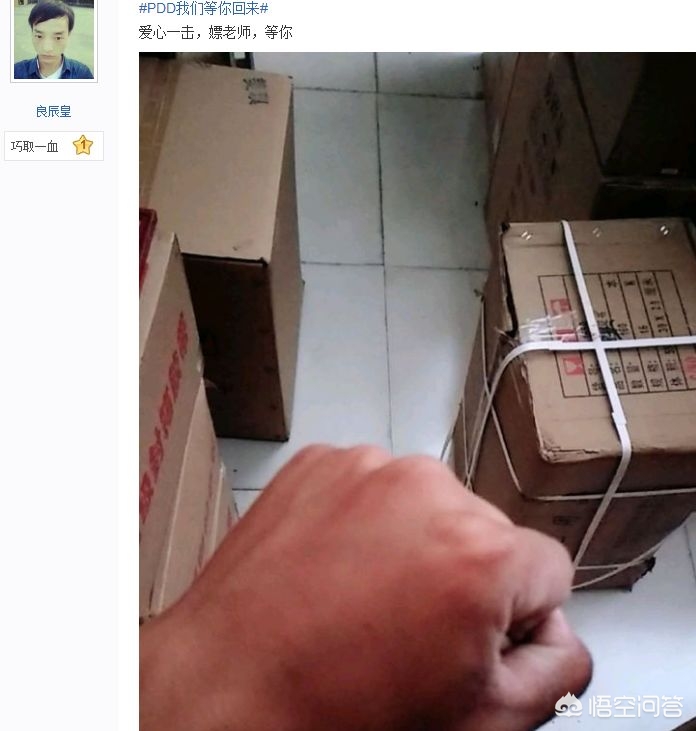我是英雄联盟里最骚的骚猪_我是英雄联盟里最骚的骚猪是谁