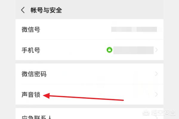 微信新增删除声音锁功能_微信新增删除声音锁功能怎么恢复