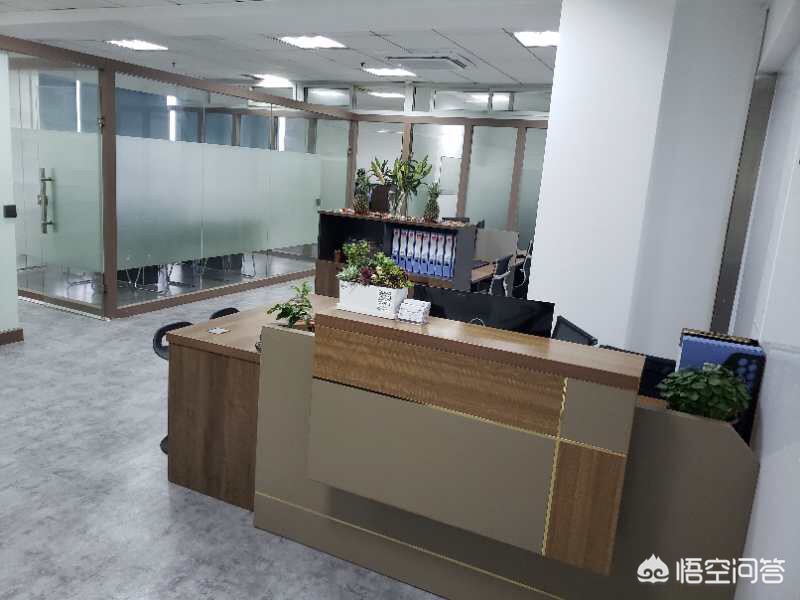 金蝶直播_金蝶直播免费怎么下载