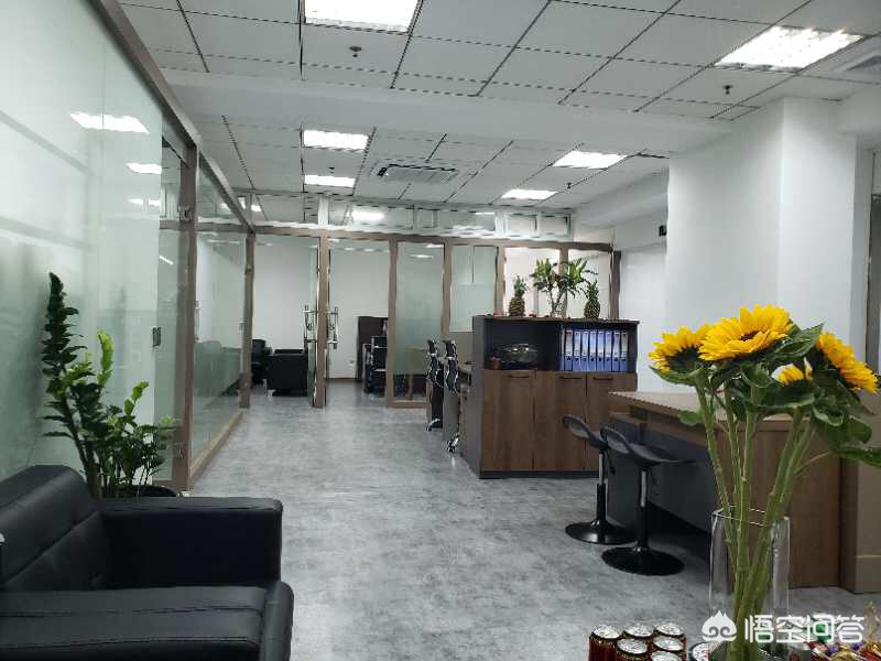 金蝶直播_金蝶直播免费怎么下载