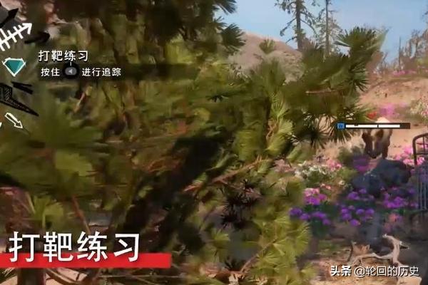 孤岛惊魂新曙光_孤岛惊魂新曙光调查光束