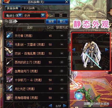 dnf装备词典_dnf装备词典70版本