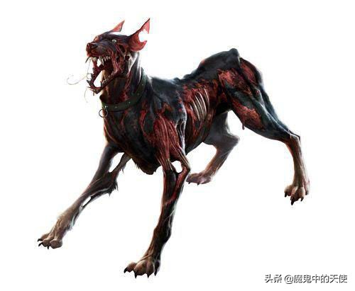 生化危机暴君_生化危机暴君是怎么生产的
