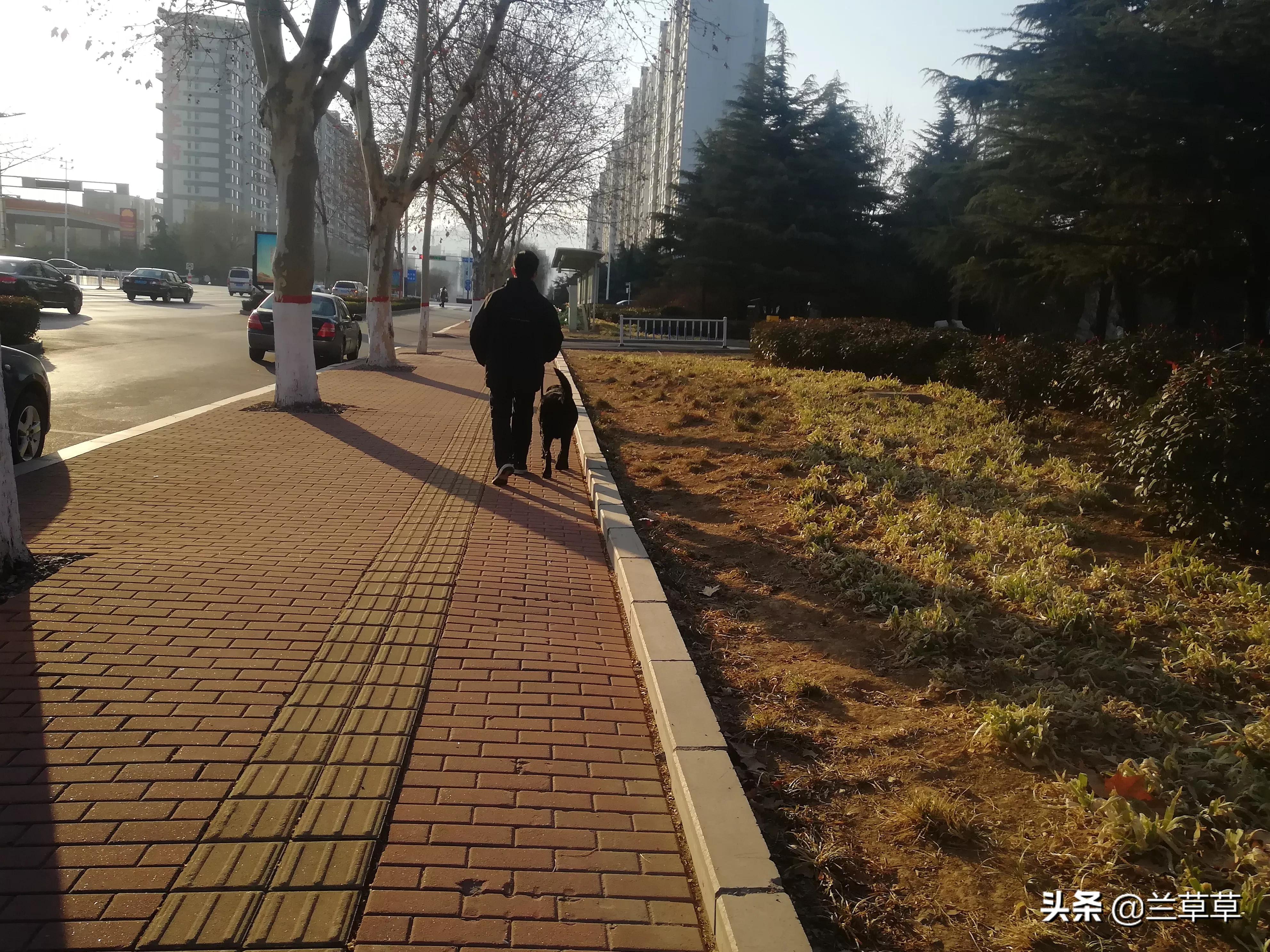 如果我们现在还在一起会是怎样_戴佩妮如果我们现在还在一起会是怎样