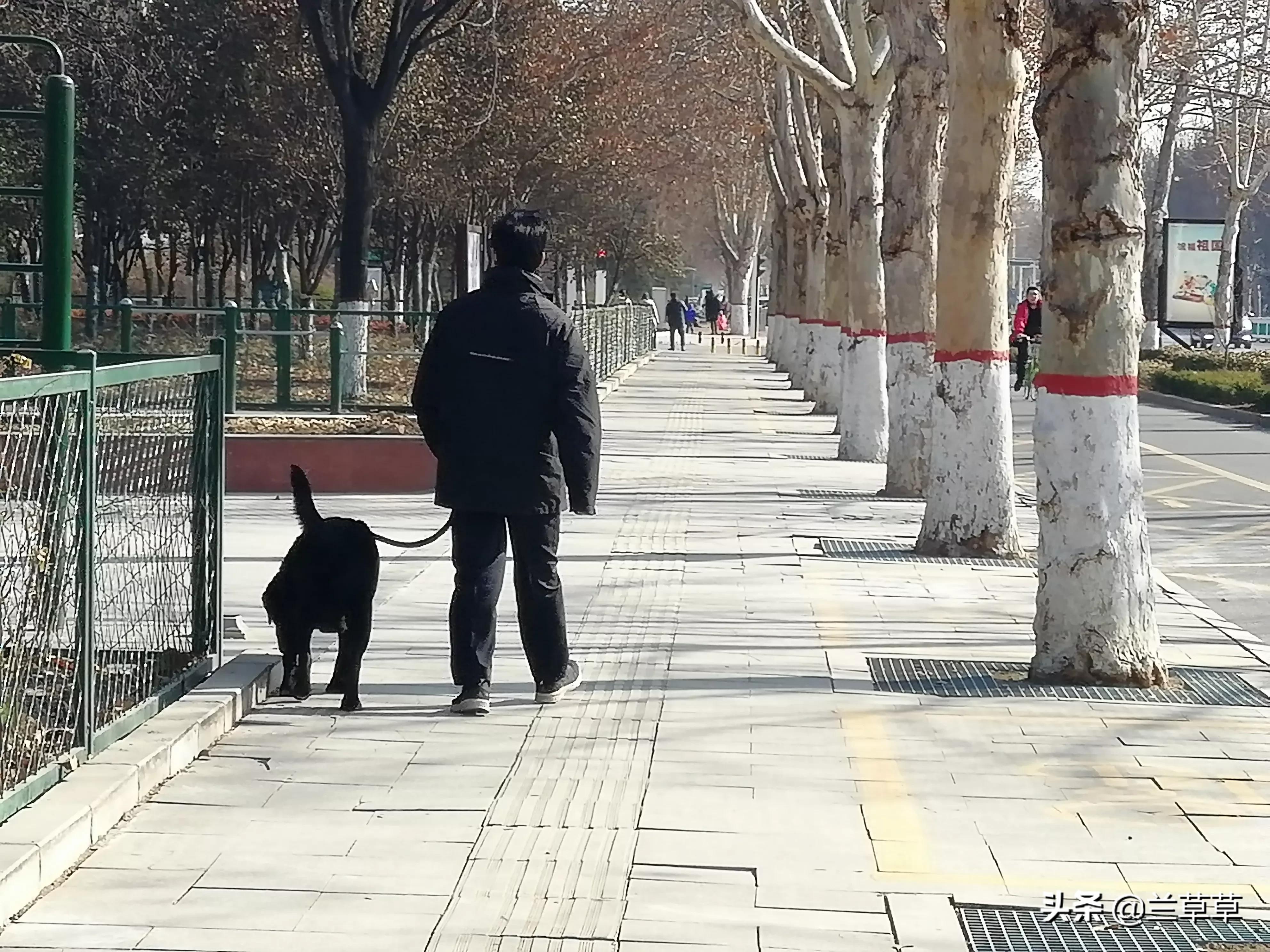 如果我们现在还在一起会是怎样_戴佩妮如果我们现在还在一起会是怎样