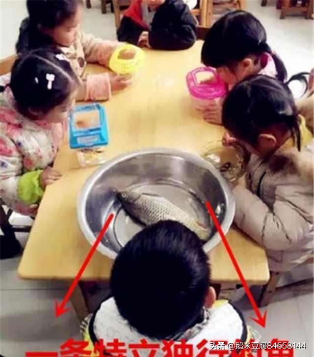 导师的乌龟坐骑_魔兽世界乌龟坐骑绝版了没