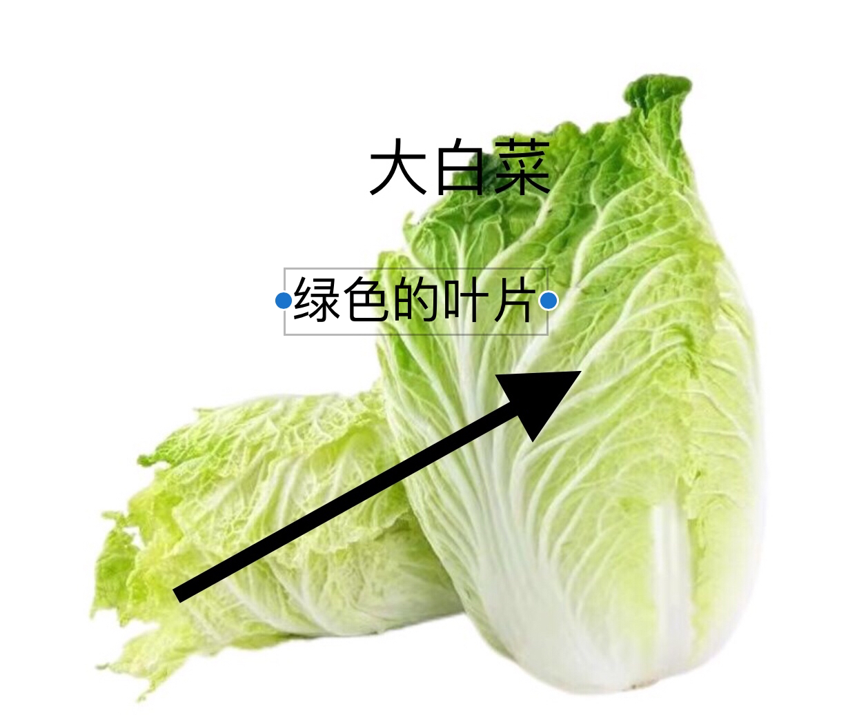 家用电器蚂蚁庄园_家用电器我知道
