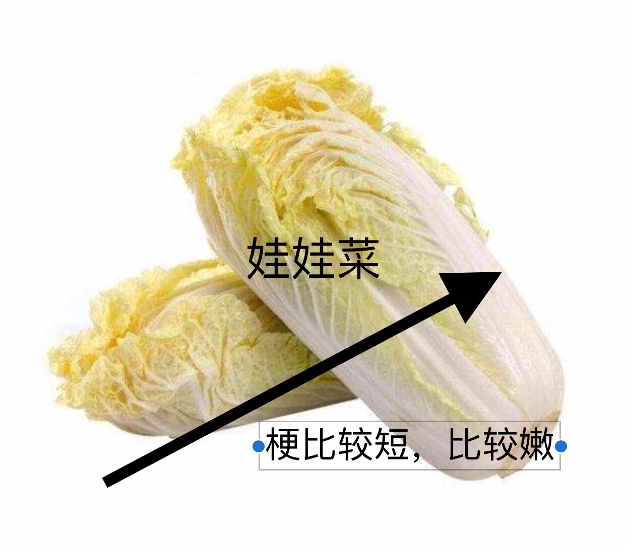 家用电器蚂蚁庄园_家用电器我知道
