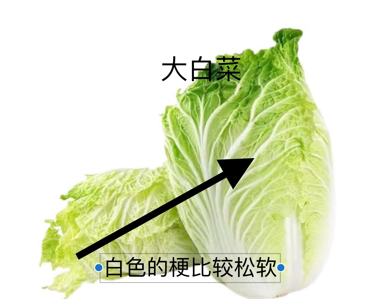 家用电器蚂蚁庄园_家用电器我知道