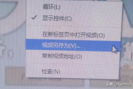 能下载网站视频的软件_能下载网站视频的软件有哪些