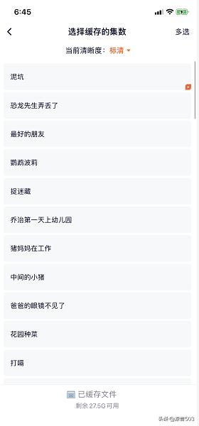能下载网站视频的软件_能下载网站视频的软件有哪些