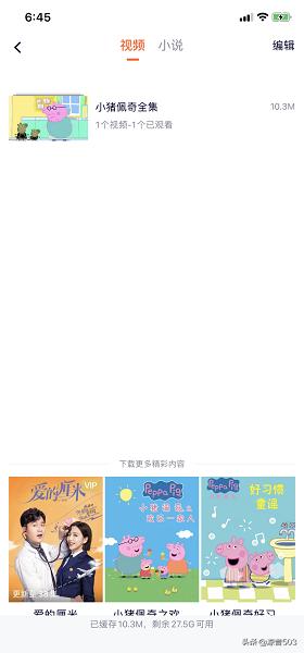 能下载网站视频的软件_能下载网站视频的软件有哪些
