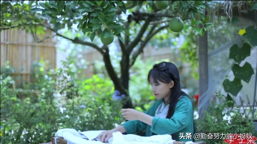 赛尔号图片大全_赛尔号图片大全大图