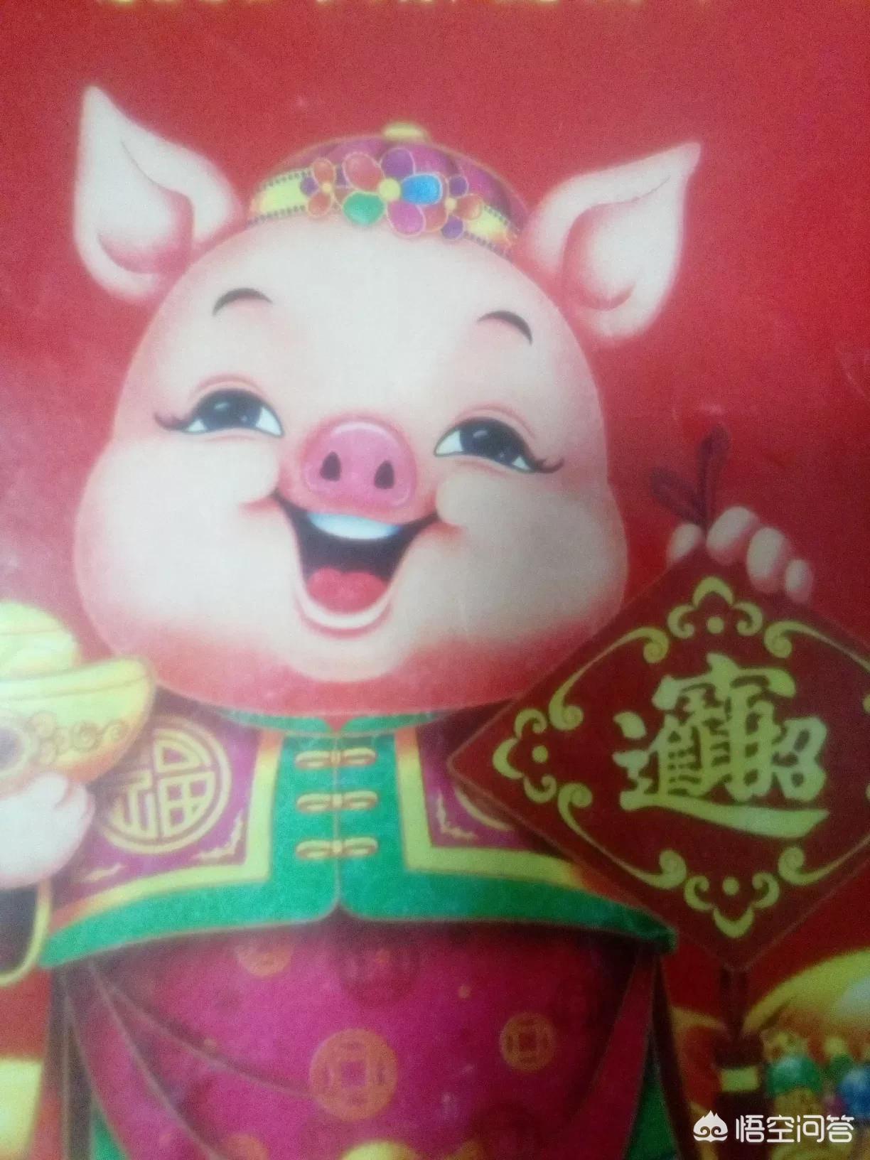 猪真的很笨吗蚂蚁庄园_猪真的很笨吗 蚂蚁庄园