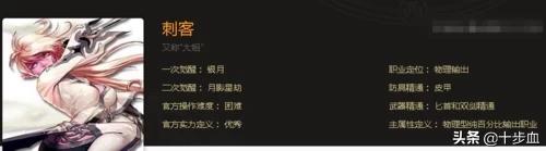 dnf刺客带什么武器_dnf刺客带什么武器好