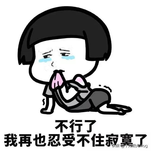 真人一对一免费视频聊天_真人一对一免费视频聊天网站