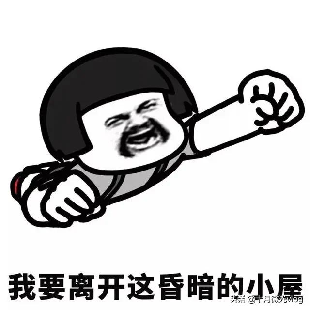 真人一对一免费视频聊天_真人一对一免费视频聊天网站