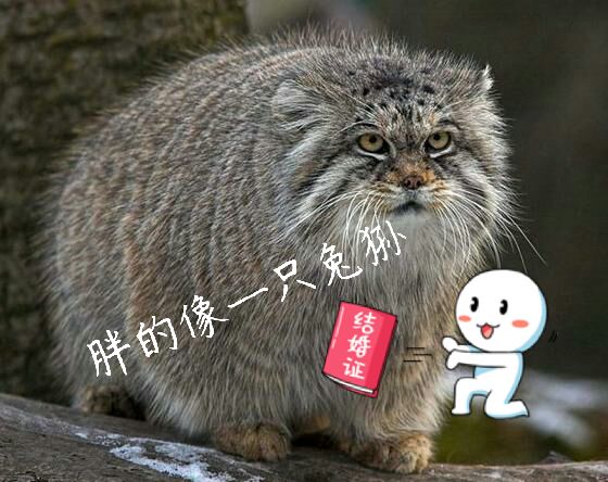 充满爱慕的信_充满爱慕的信怎么批量使用