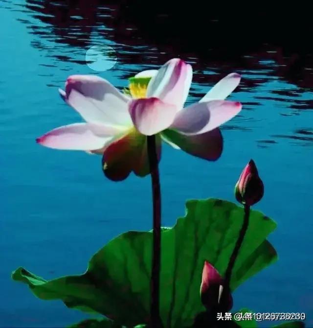 你送的礼物会不会太特别_你送的礼物会不会太特别是什么歌
