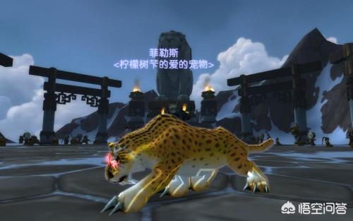 魔兽世界武僧_魔兽世界武僧什么种族最好