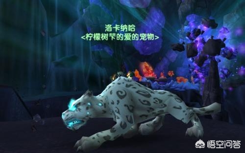 魔兽世界武僧_魔兽世界武僧什么种族最好