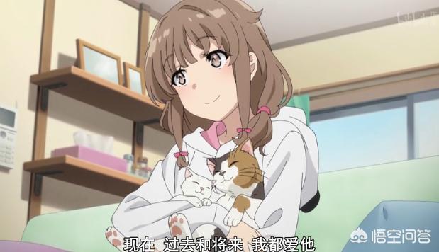 兔女郎是什么意思_兔女郎是啥意思