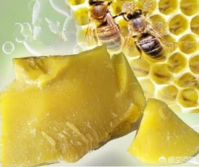 能够制造蜂蜡的是哪种类型的蜜蜂_能够制造蜂蜡的是哪种类型的蜜蜂?蜂后雄蜂工蜂都不是