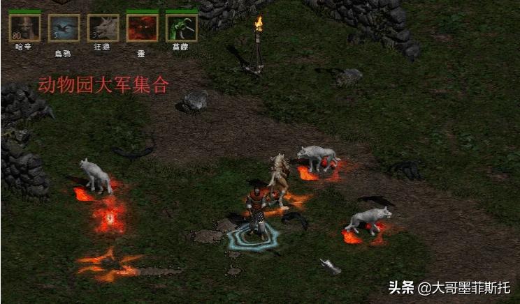 暗黑2德鲁伊加点_暗黑2德鲁伊加点和技能